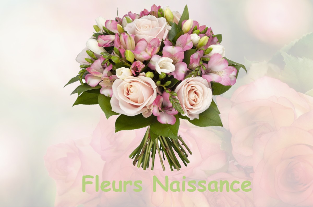 fleurs naissance VITREUX