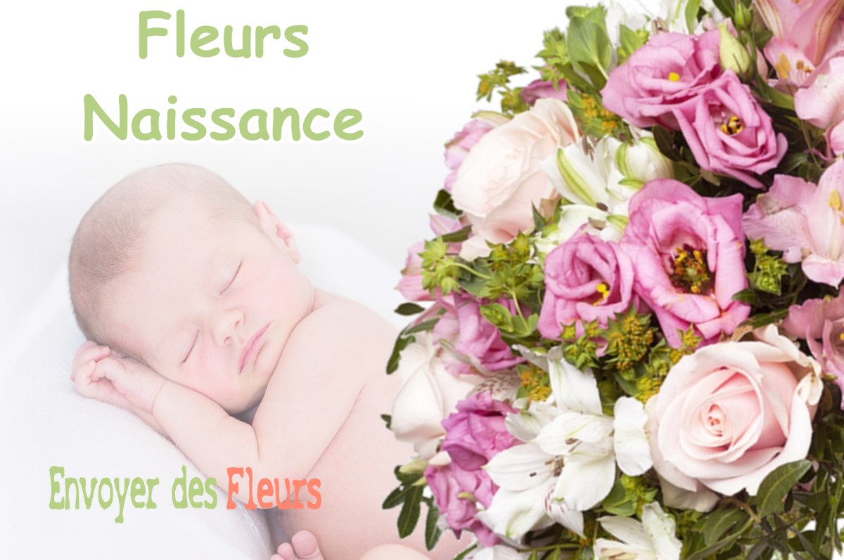 lIVRAISON FLEURS NAISSANCE à VITREUX